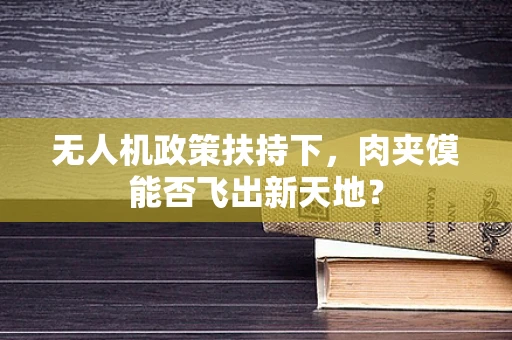 无人机政策扶持下，肉夹馍能否飞出新天地？