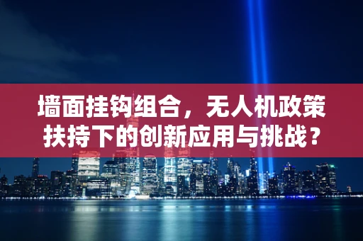 墙面挂钩组合，无人机政策扶持下的创新应用与挑战？