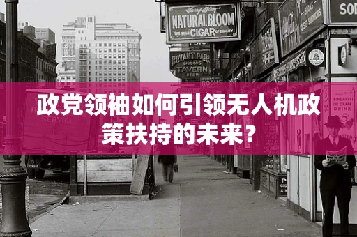 政党领袖如何引领无人机政策扶持的未来？
