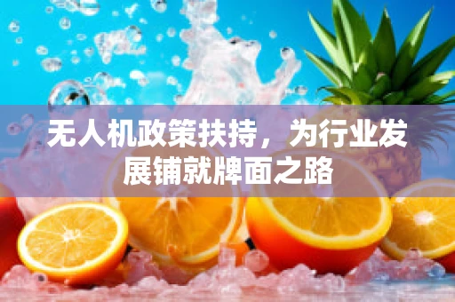无人机政策扶持，为行业发展铺就牌面之路