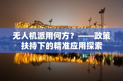 无人机派用何方？——政策扶持下的精准应用探索