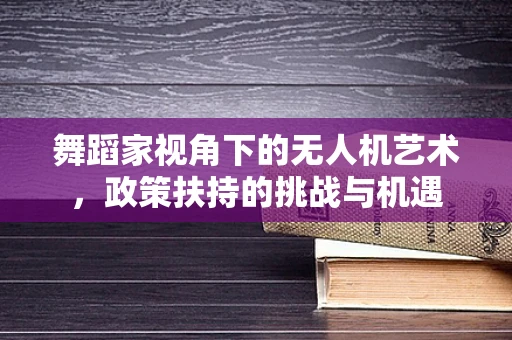 舞蹈家视角下的无人机艺术，政策扶持的挑战与机遇