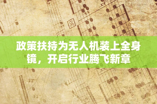 政策扶持为无人机装上全身镜，开启行业腾飞新章