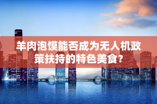 羊肉泡馍能否成为无人机政策扶持的特色美食？