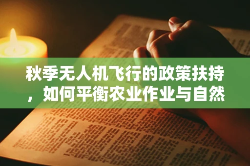 秋季无人机飞行的政策扶持，如何平衡农业作业与自然保护？