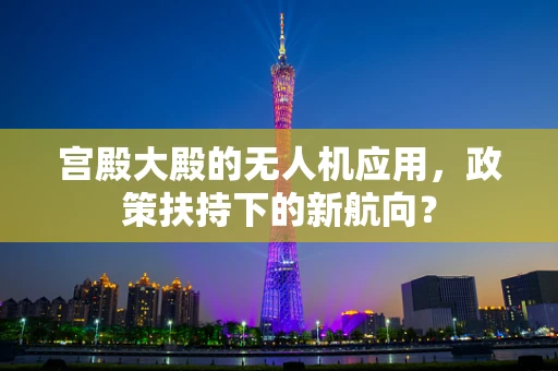 宫殿大殿的无人机应用，政策扶持下的新航向？