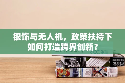 银饰与无人机，政策扶持下如何打造跨界创新？