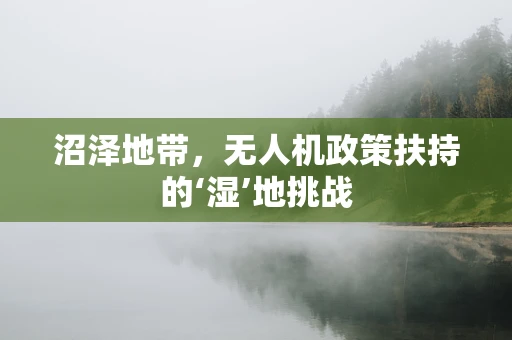 沼泽地带，无人机政策扶持的‘湿’地挑战