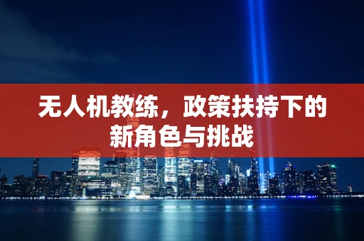 无人机教练，政策扶持下的新角色与挑战