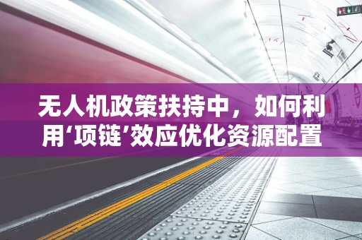 无人机政策扶持中，如何利用‘项链’效应优化资源配置？