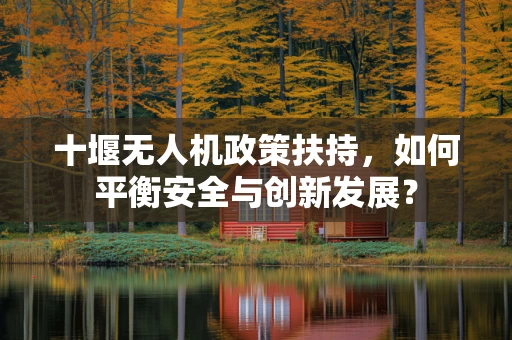 十堰无人机政策扶持，如何平衡安全与创新发展？