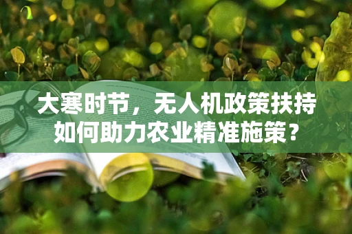 大寒时节，无人机政策扶持如何助力农业精准施策？