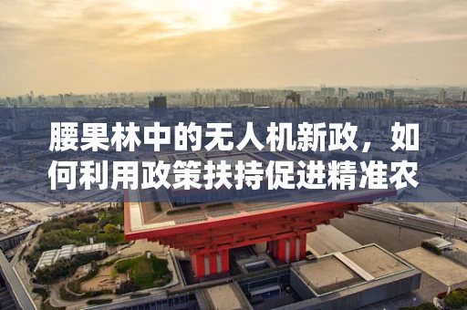 腰果林中的无人机新政，如何利用政策扶持促进精准农业？