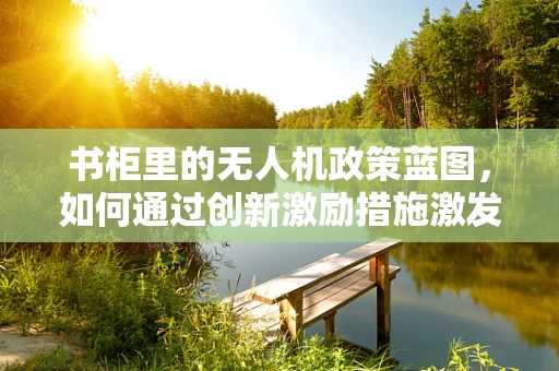 书柜里的无人机政策蓝图，如何通过创新激励措施激发行业新活力？