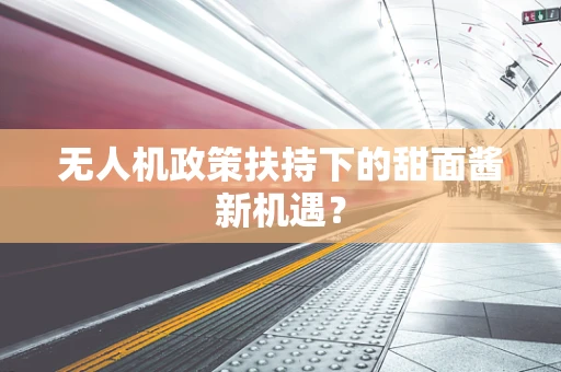 无人机政策扶持下的甜面酱新机遇？