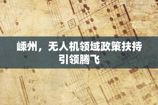 嵊州，无人机领域政策扶持引领腾飞