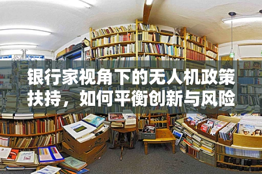 银行家视角下的无人机政策扶持，如何平衡创新与风险？