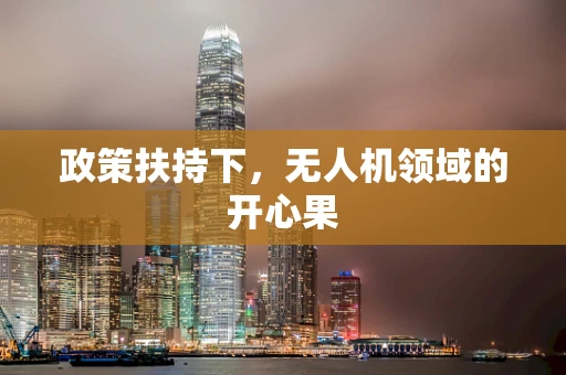 政策扶持下，无人机领域的开心果