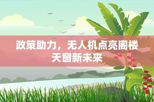 政策助力，无人机点亮阁楼天窗新未来