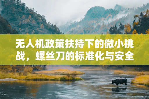 无人机政策扶持下的微小挑战，螺丝刀的标准化与安全飞行