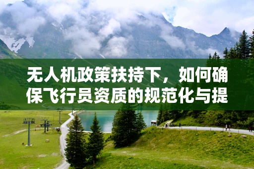 无人机政策扶持下，如何确保飞行员资质的规范化与提升？