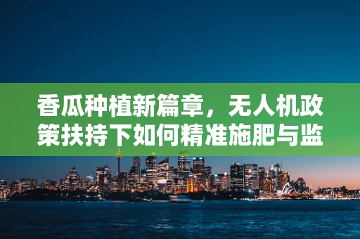 香瓜种植新篇章，无人机政策扶持下如何精准施肥与监测？