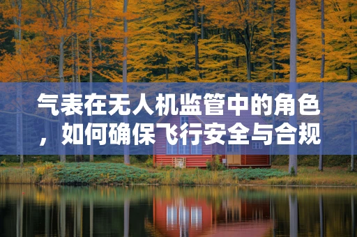 气表在无人机监管中的角色，如何确保飞行安全与合规？