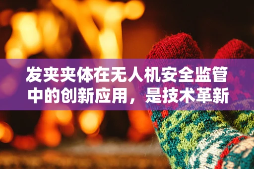 发夹夹体在无人机安全监管中的创新应用，是技术革新还是政策挑战？
