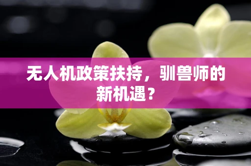 无人机政策扶持，驯兽师的新机遇？