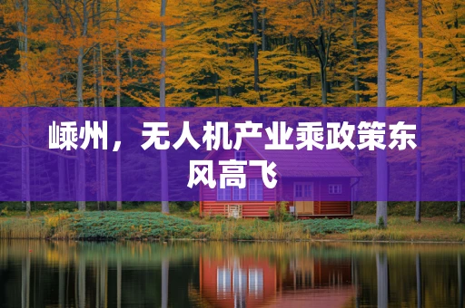 嵊州，无人机产业乘政策东风高飞