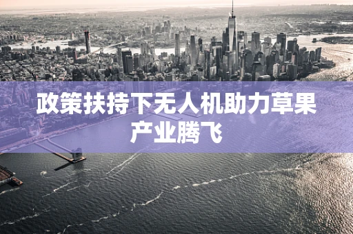 政策扶持下无人机助力草果产业腾飞