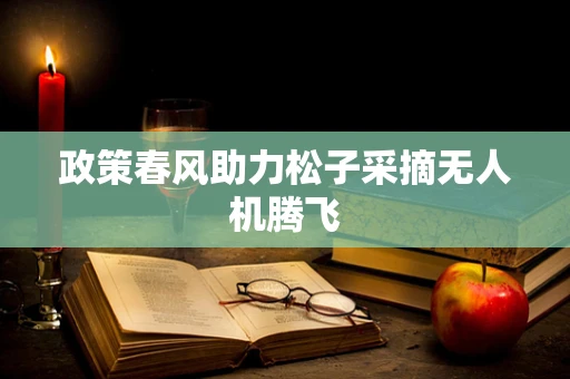 政策春风助力松子采摘无人机腾飞