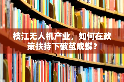 枝江无人机产业，如何在政策扶持下破茧成蝶？