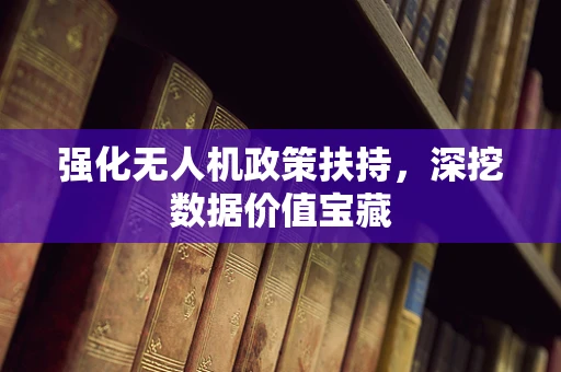 强化无人机政策扶持，深挖数据价值宝藏