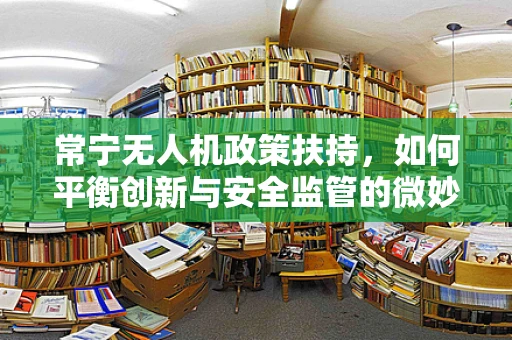 常宁无人机政策扶持，如何平衡创新与安全监管的微妙平衡？