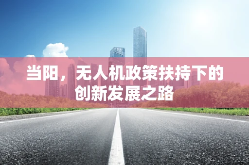当阳，无人机政策扶持下的创新发展之路