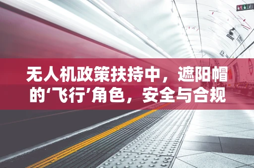 无人机政策扶持中，遮阳帽的‘飞行’角色，安全与合规的微妙平衡？