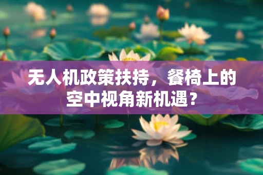 无人机政策扶持，餐椅上的空中视角新机遇？