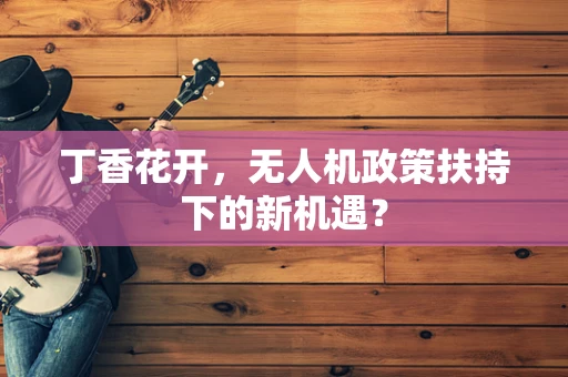 丁香花开，无人机政策扶持下的新机遇？