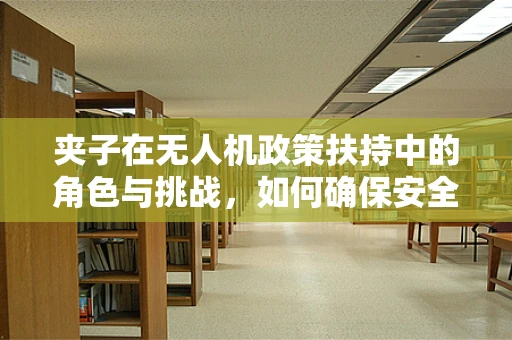 夹子在无人机政策扶持中的角色与挑战，如何确保安全与合规的平衡？