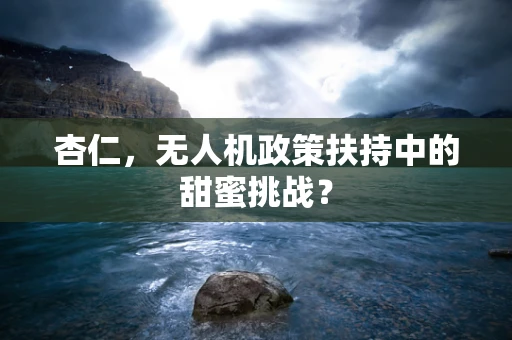 杏仁，无人机政策扶持中的甜蜜挑战？