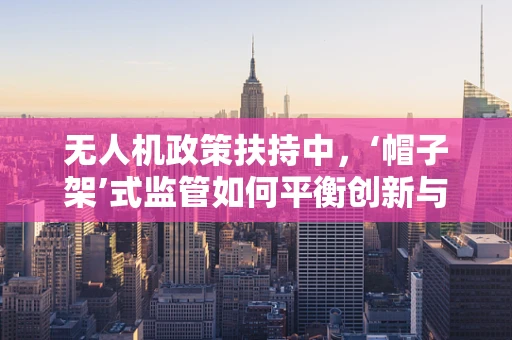 无人机政策扶持中，‘帽子架’式监管如何平衡创新与安全？