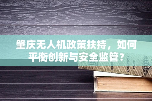 肇庆无人机政策扶持，如何平衡创新与安全监管？