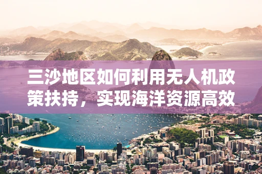 三沙地区如何利用无人机政策扶持，实现海洋资源高效监测？