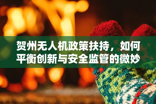贺州无人机政策扶持，如何平衡创新与安全监管的微妙平衡？