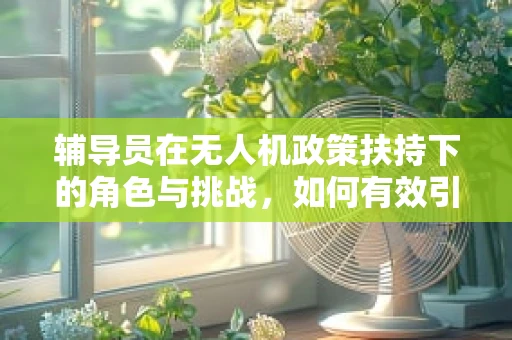 辅导员在无人机政策扶持下的角色与挑战，如何有效引导青年创业者？