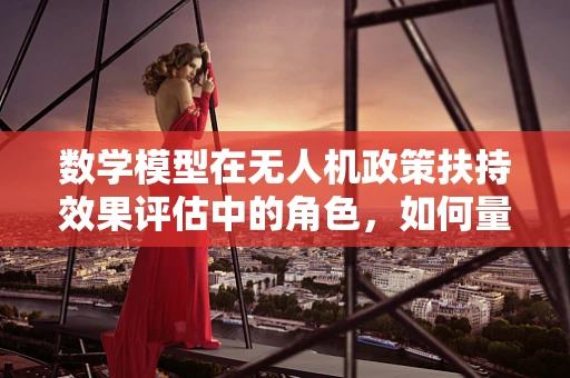 数学模型在无人机政策扶持效果评估中的角色，如何量化政策影响？