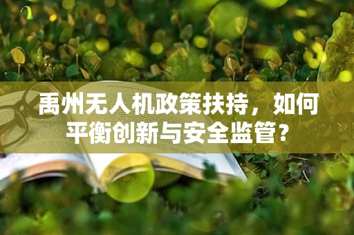 禹州无人机政策扶持，如何平衡创新与安全监管？