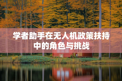 学者助手在无人机政策扶持中的角色与挑战