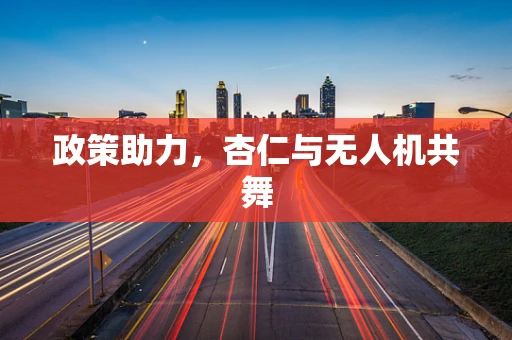 政策助力，杏仁与无人机共舞